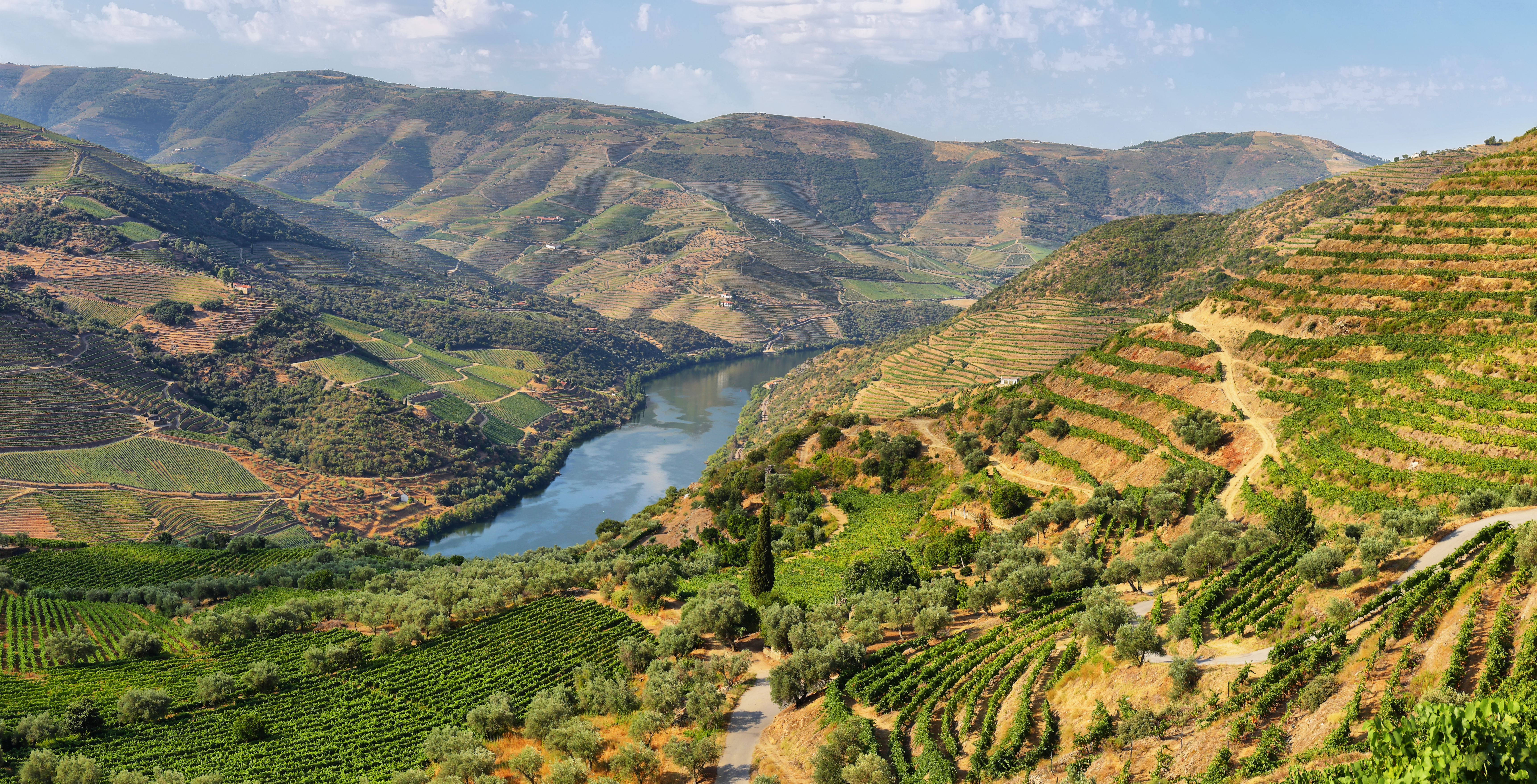 Betagende udsigt over de terrasserede vinmarker i Alto Douro Vinhateiro og Tua-dalen i Portugal, kendt for sin portvinproduktion