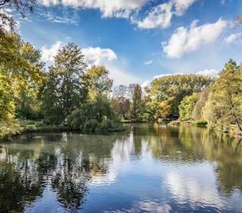 Idyllisk efterårslandskab med farverige træer og deres spejling i søen i Rivierenhof nationalpark, Antwerpen