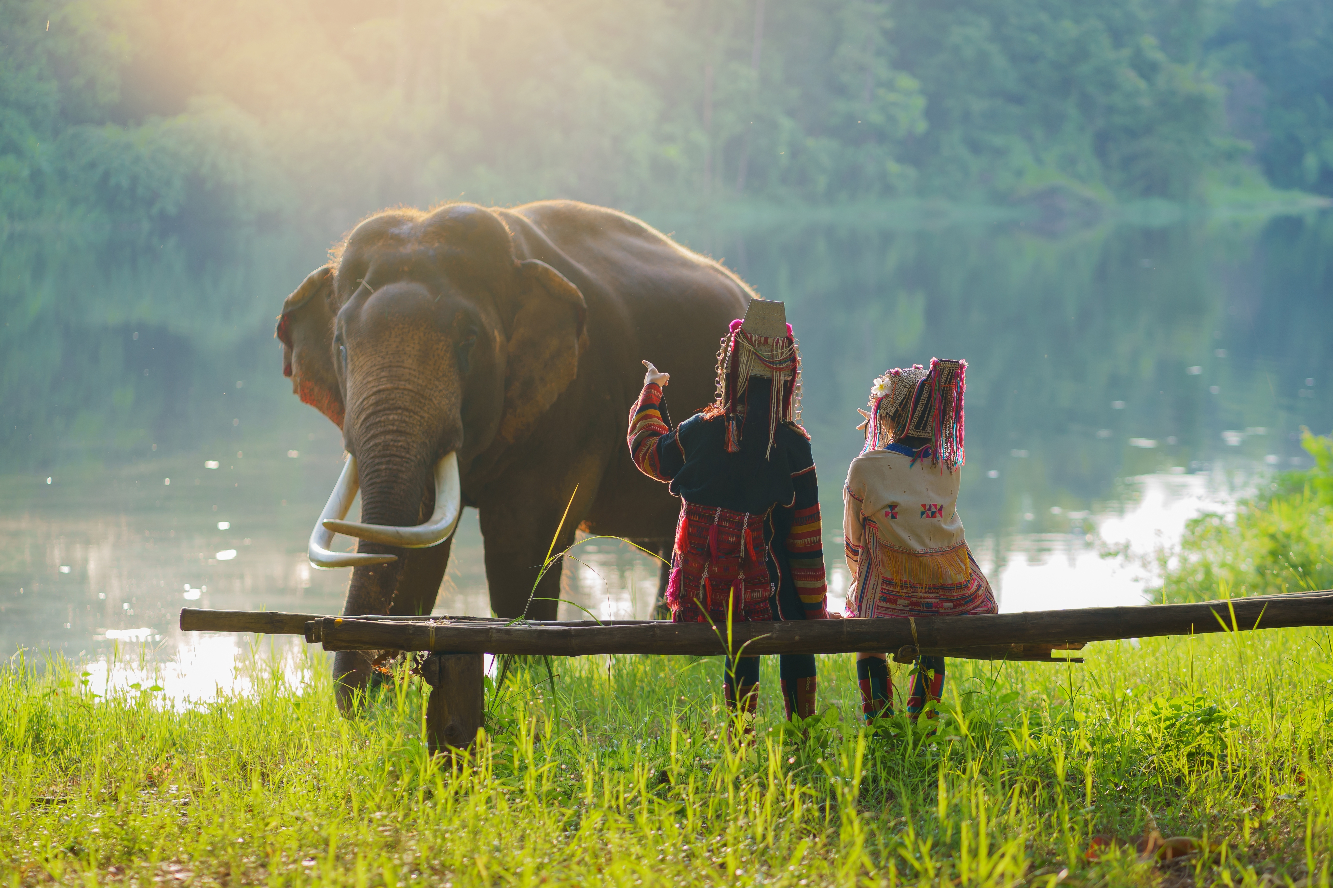 Turister med asiatiske elefanter ved bevaringscentret i Lampang, Thailand