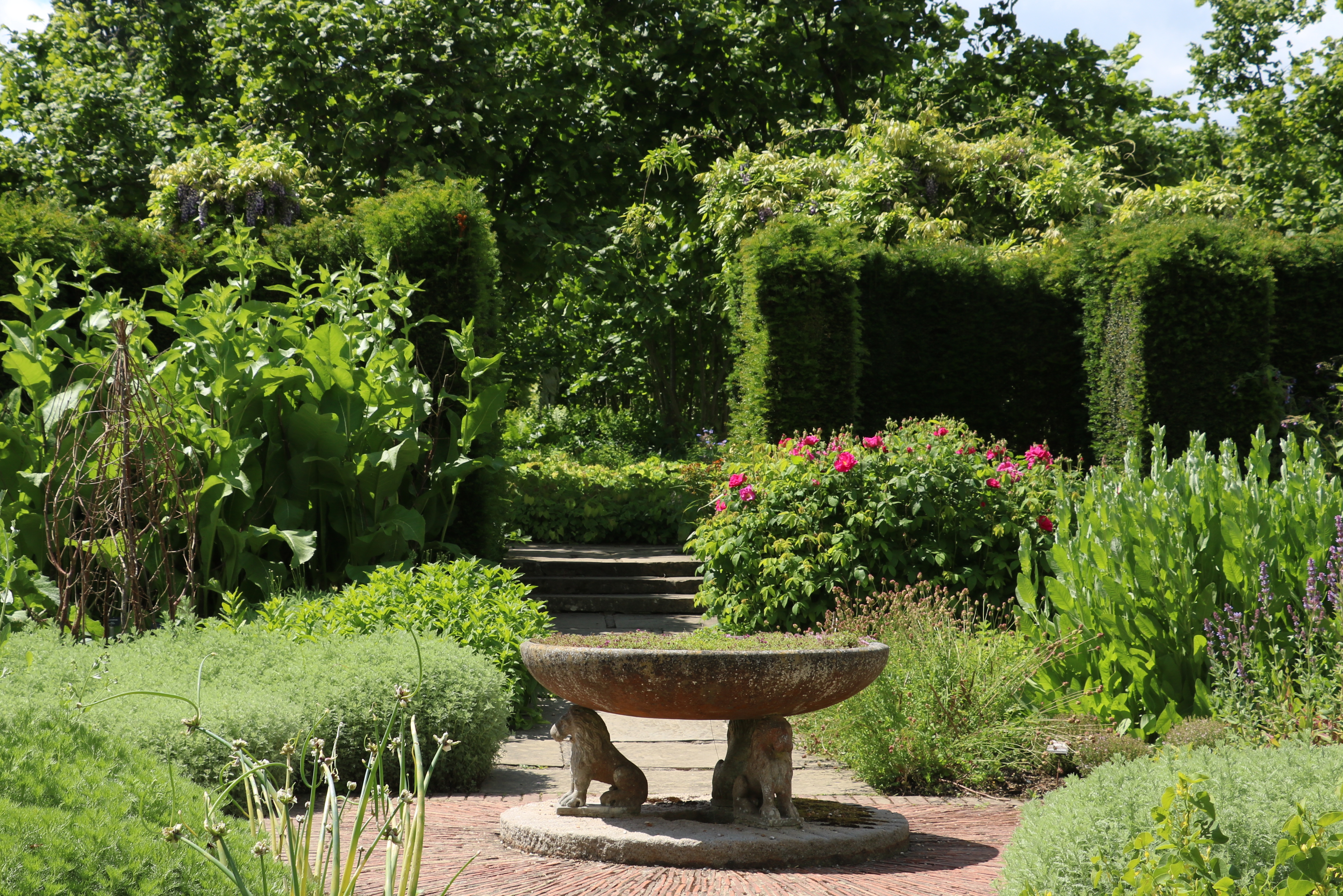 Smuk engelsk have ved Sissinghurst Castle i Kent med stensokkel, blomstrende roser og klippede hækker om sommeren