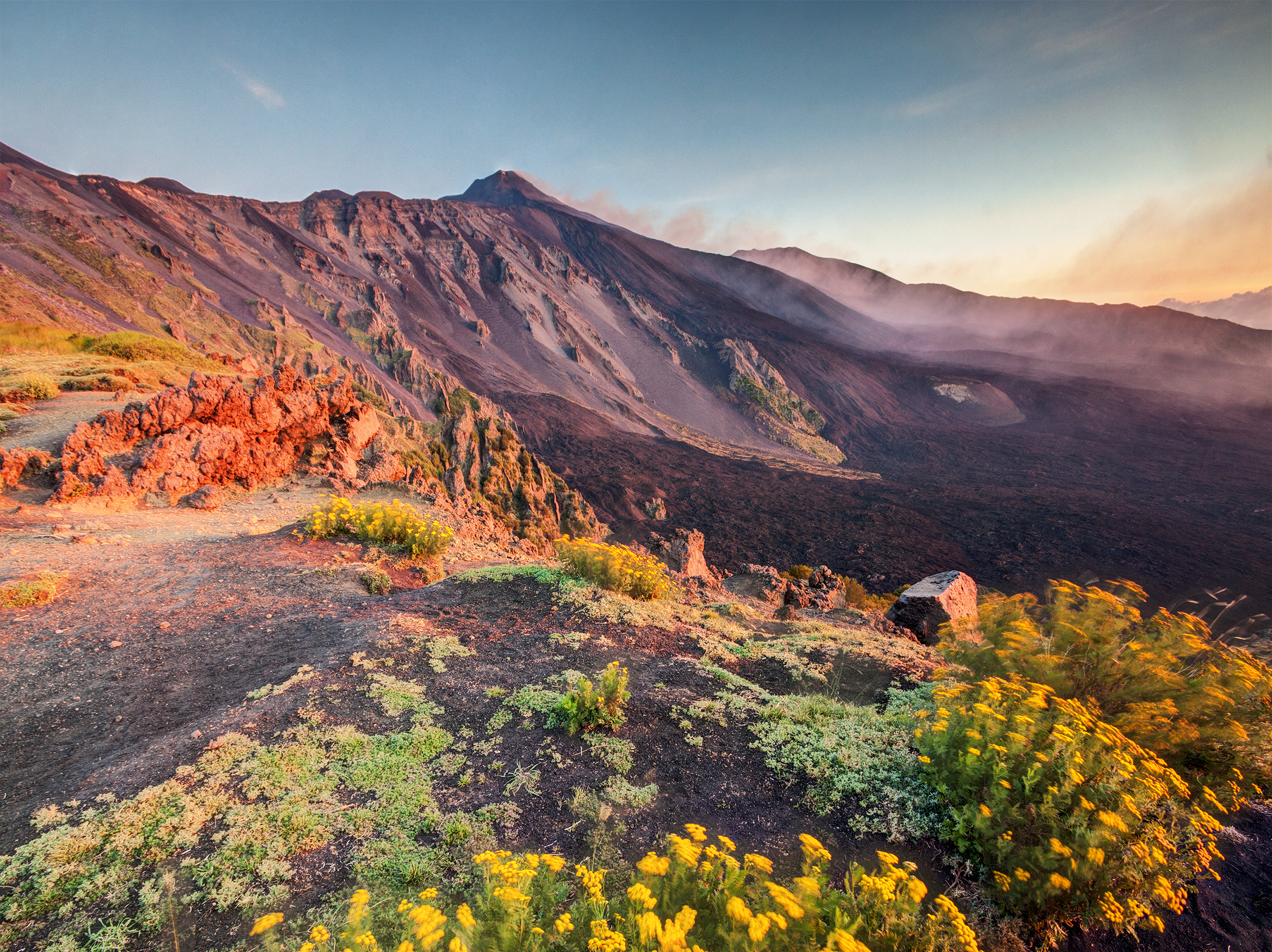 Majestætiske Etna vulkan på Sicilien med farverige vilde blomster i forgrunden og et betagende italiensk bjerglandskab