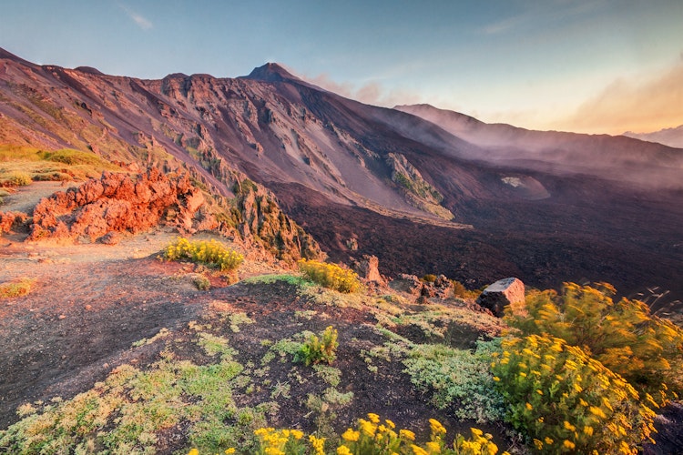 Majestætiske Etna vulkan på Sicilien med farverige vilde blomster i forgrunden og et betagende italiensk bjerglandskab