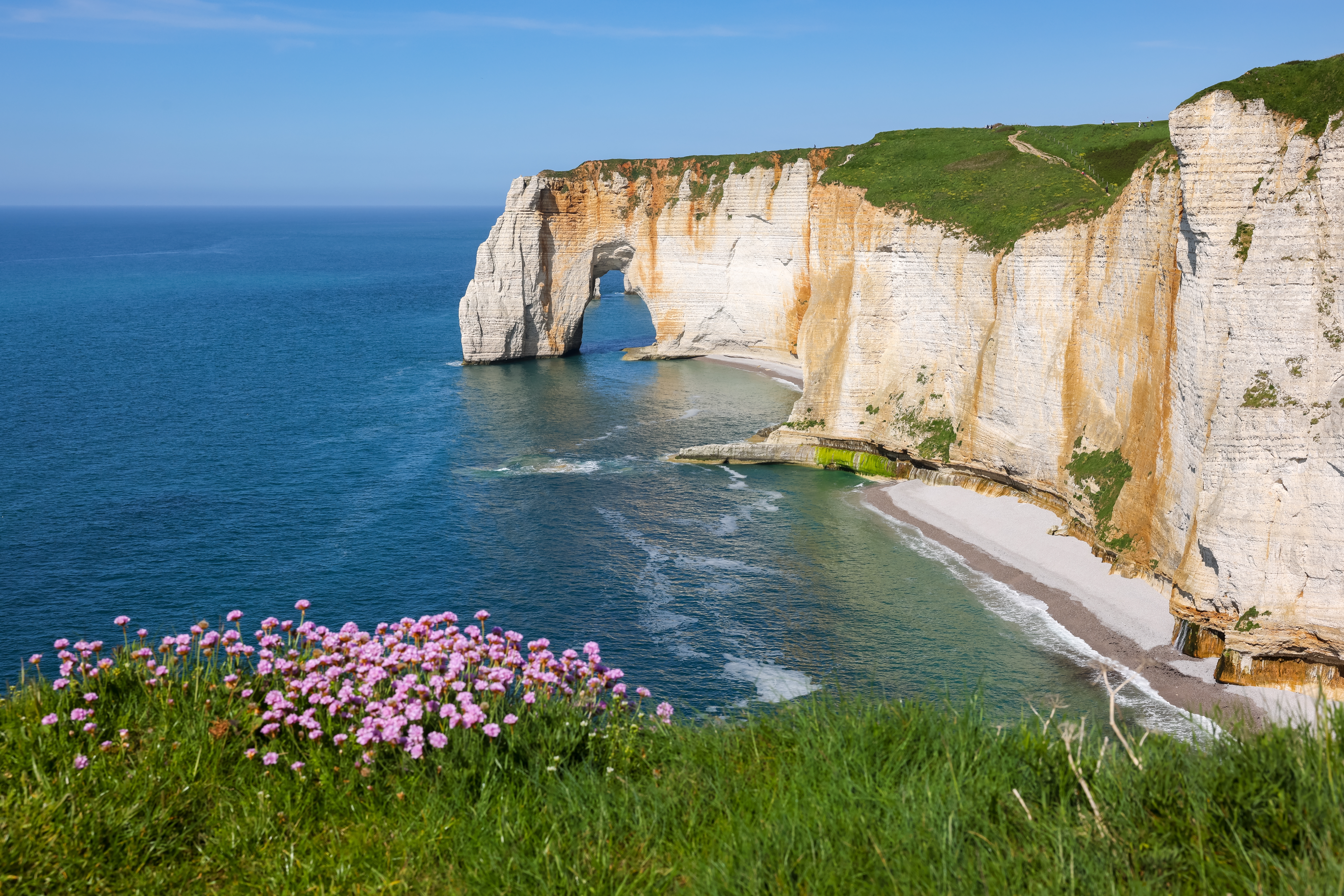 Smukke hvide kridtklipper ved Etretat med naturlig stenbue og lyserøde vilde blomster i Normandiet, Frankrig