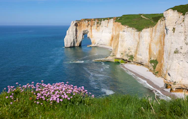 Smukke hvide kridtklipper ved Etretat med naturlig stenbue og lyserøde vilde blomster i Normandiet, Frankrig