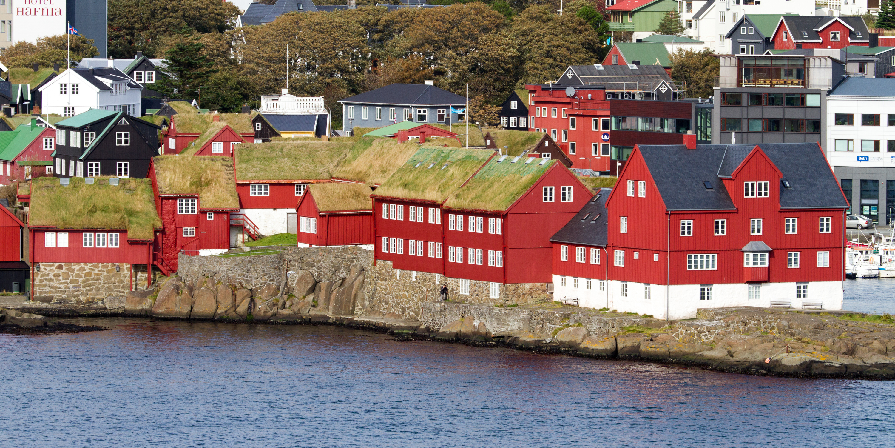 Traditionelle røde og hvide bygninger med græstage på Færøerne.