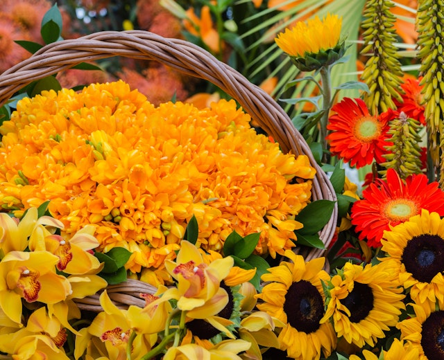Farverig efterårsbuket med orange tagetes, gule orkideer og solsikker i flettet kurv