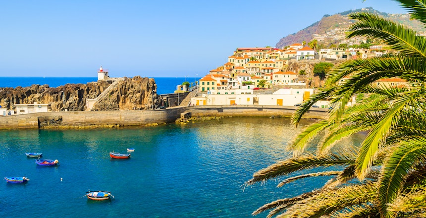 Farverige fiskerbåde i den charmerende havn Camara de Lobos med palmeblade i forgrunden, Madeira, Portugal