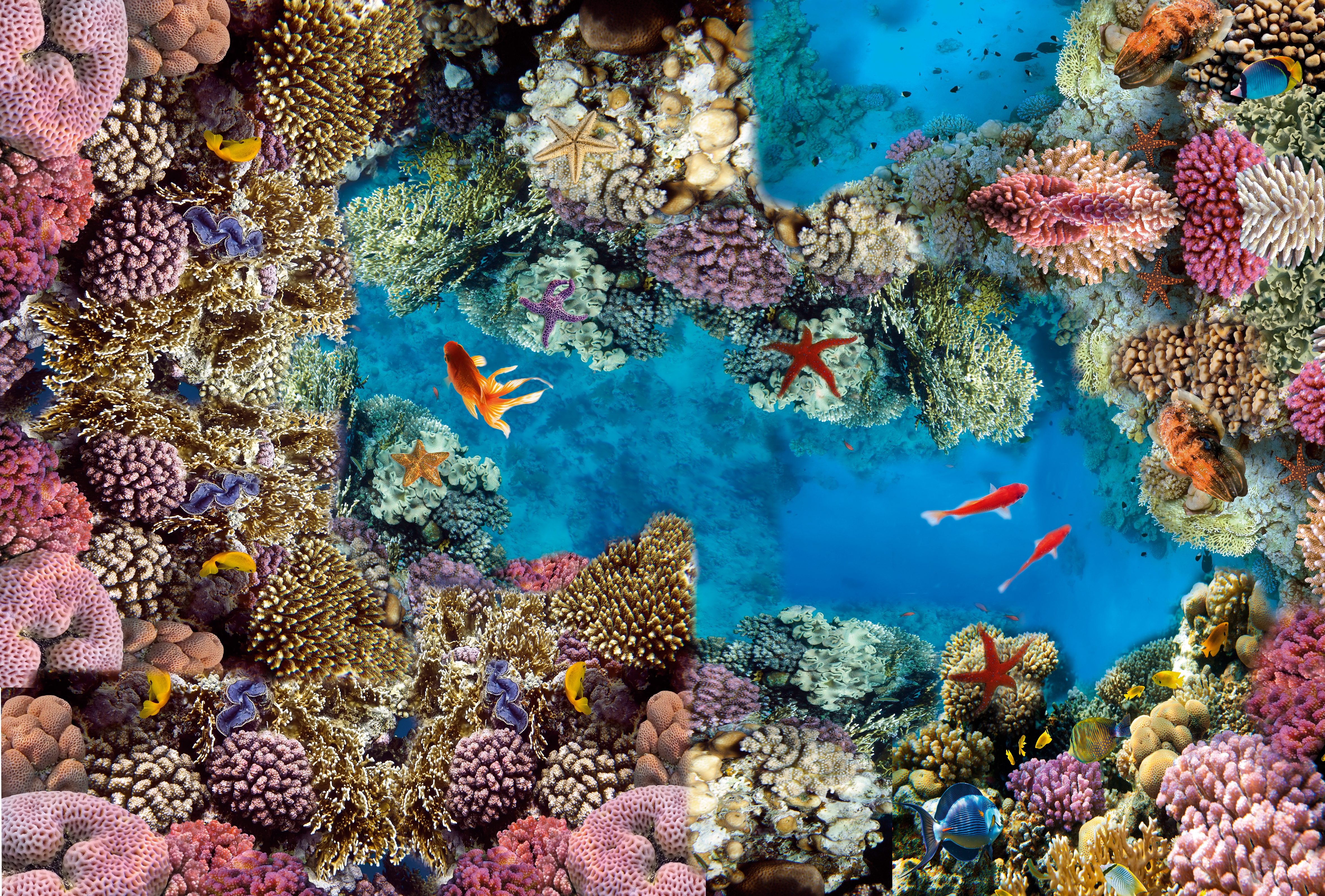 Farverige koralrev og tropiske fisk i krystalklart blåt vand - perfekt til snorkling og dykning på din ferie i Bali eller Egypten