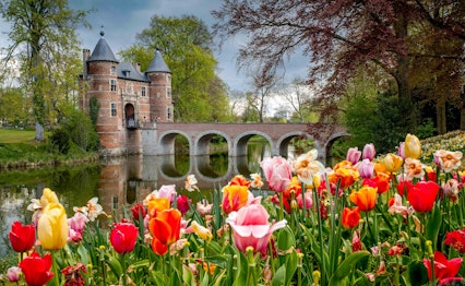 Farverige tulipaner blomstrer foran Groot-Bijgaarden slot med stenbro over voldgraven i Dilbeek nær Bruxelles, Belgien under forårets Floralia blomsterudstilling