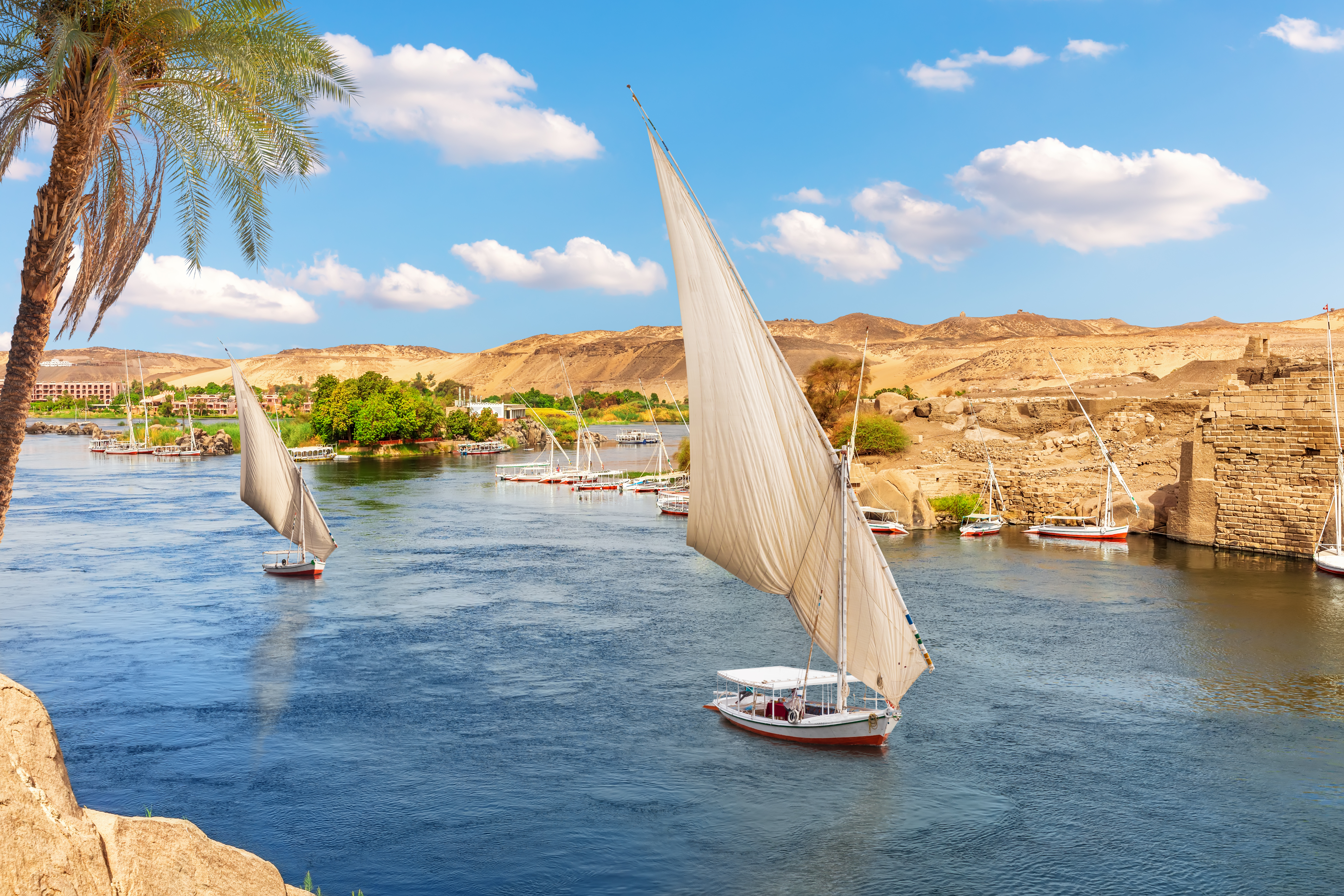 Traditionelle felucca sejlbåde på Nilen i Aswan, Egypten, med gyldne ørkenklitter og antikke ruiner i baggrunden