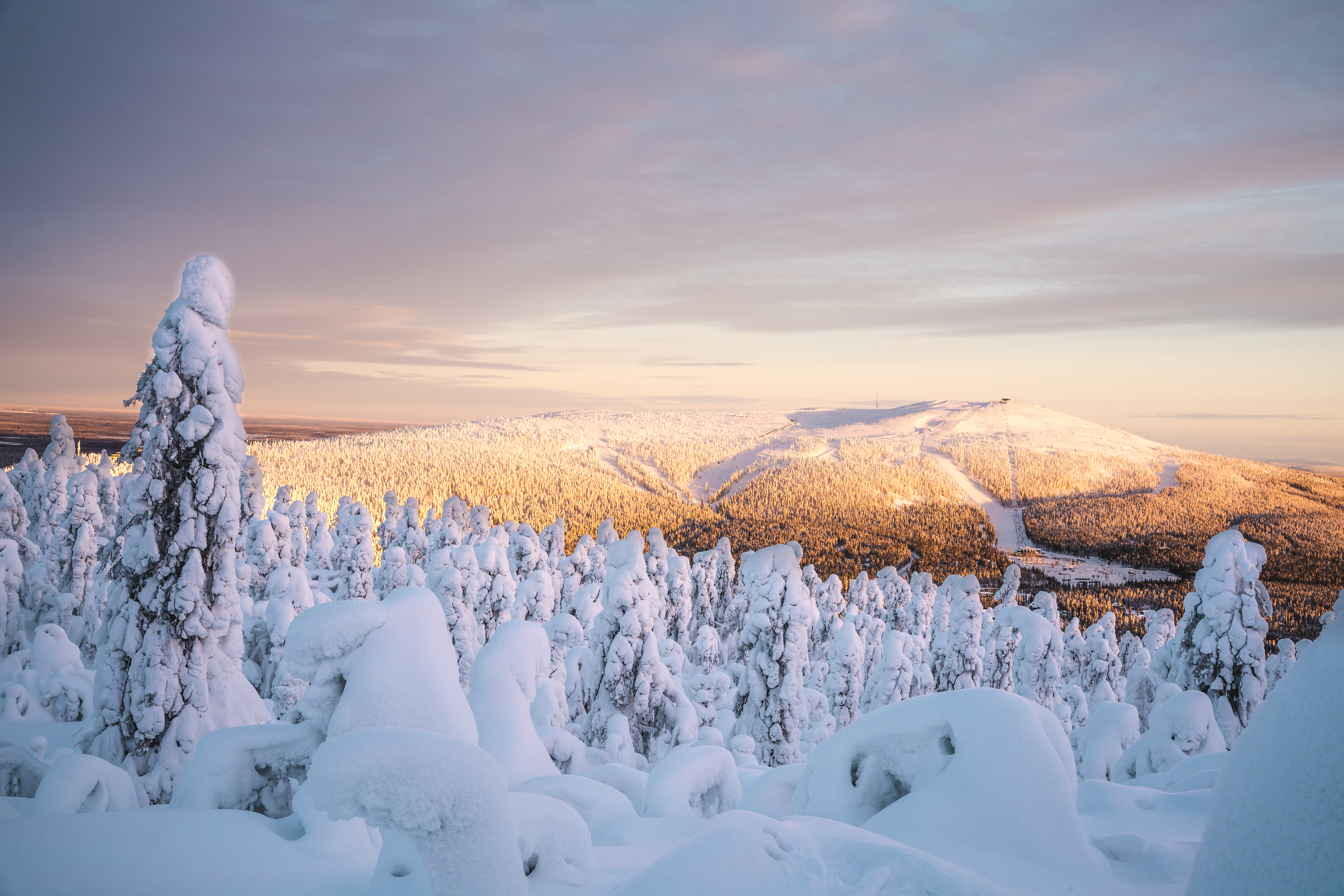 Magisk vinteroplevelse i Finsk Lapland med snedækkede træer og bjerglandskab