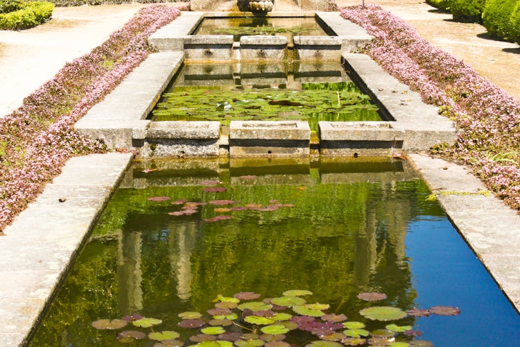 Dekorativ fontæne med åkandeblade i Palacio de Cristal haverne i Porto på haverejse i Nordportugal