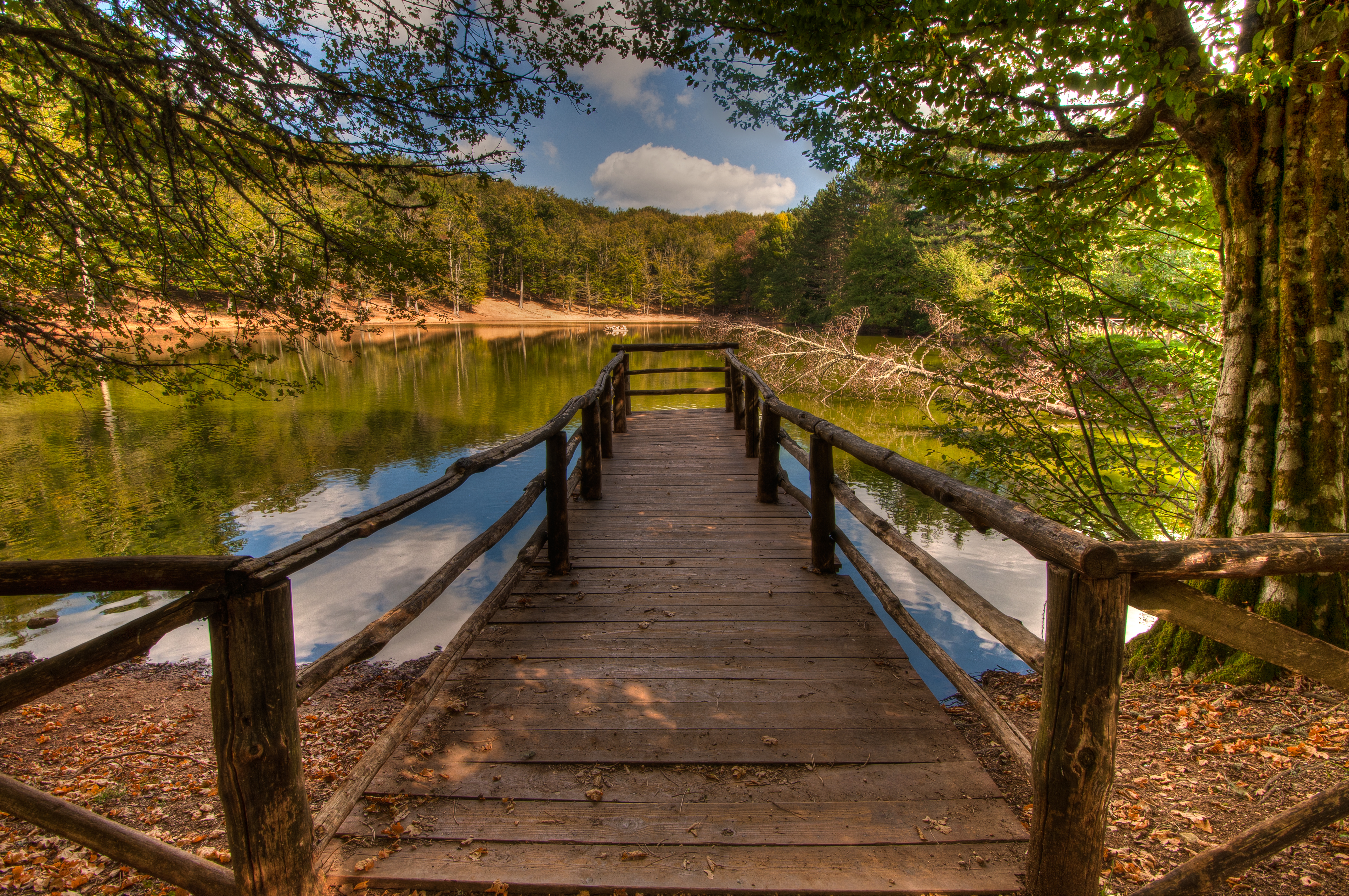 Idyllisk træbro over den stille skovsø i Foresta Umbra i Gargano Nationalpark, Apulien, omgivet af frodig grøn skov der skaber en fredfyldt naturoplevelse i Syditalien