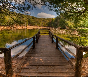 Idyllisk træbro over den stille skovsø i Foresta Umbra i Gargano Nationalpark, Apulien, omgivet af frodig grøn skov der skaber en fredfyldt naturoplevelse i Syditalien