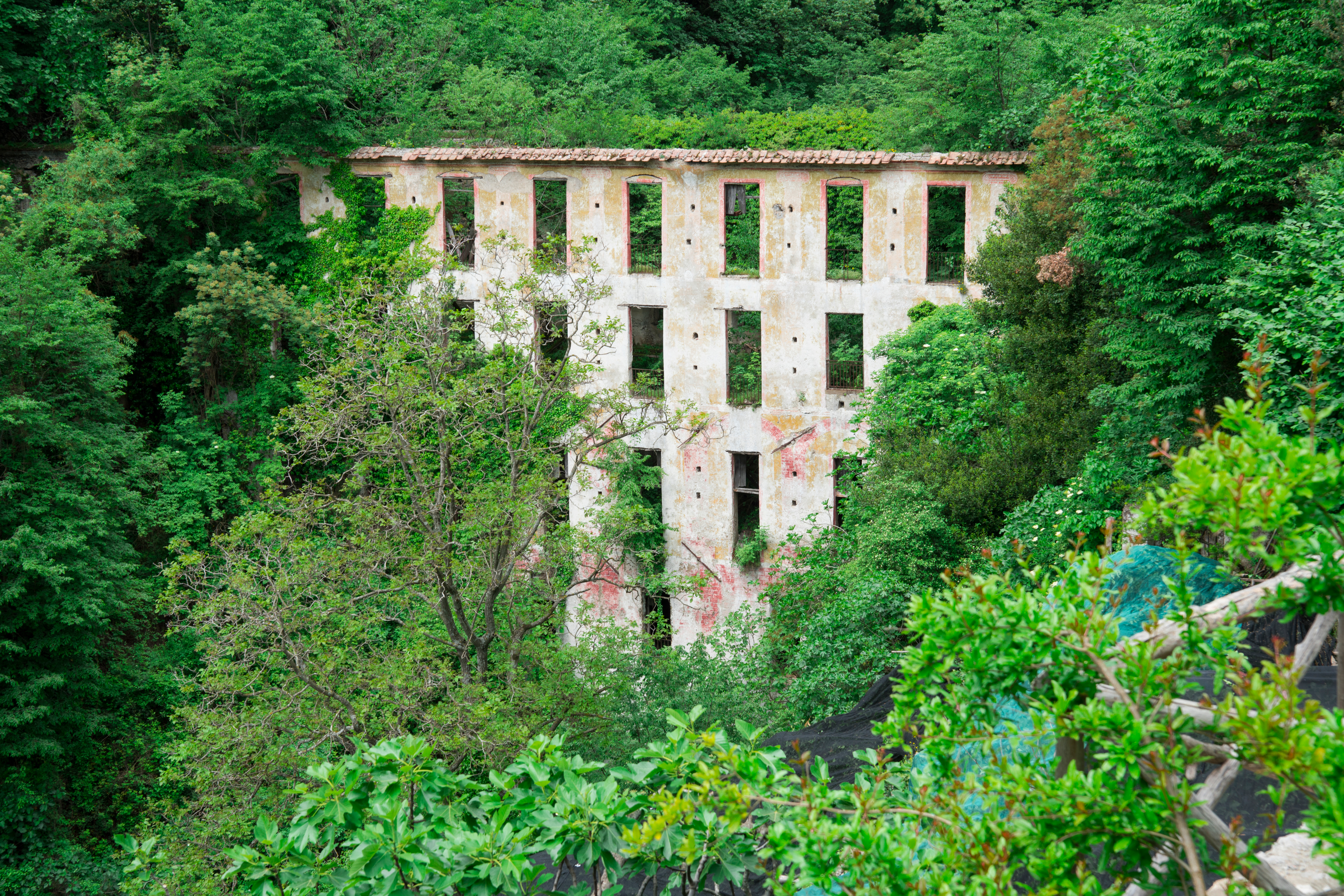 Forladte ruiner omgivet af frodig grøn vegetation i Valle delle Ferriere på Amalfikysten, Italien
