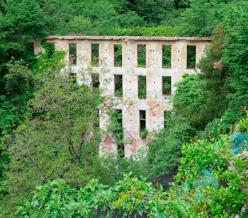 Forladte ruiner omgivet af frodig grøn vegetation i Valle delle Ferriere på Amalfikysten, Italien