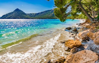Betagende udsigt over Platja de Formentor stranden med krystalklart turkisblåt vand omgivet af fyrretræsbeklædte bakker på Mallorca i Spanien