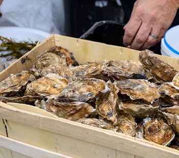 Friske franske Gillardeau østers fra Normandiets kyst præsenteret i en rustik trækasse, klar til at nydes som en eksklusiv gourmetoplevelse på din rejse til Frankrig