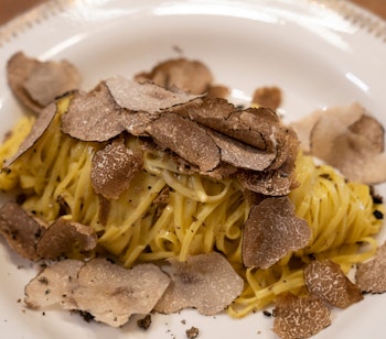 Frisk pasta med hvide trøfler fra Barolo-regionen i Piemonte - en italiensk gourmet specialitet