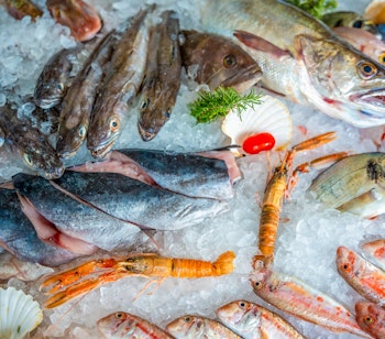 Friske fisk og skaldyr på is fra et lokalt marked i Montenegro med specialiteter fra Adriaterhavet