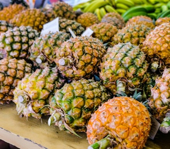 Friske ananas til salg på lokalt marked i Ponta Delgada på São Miguel, Azorerne
