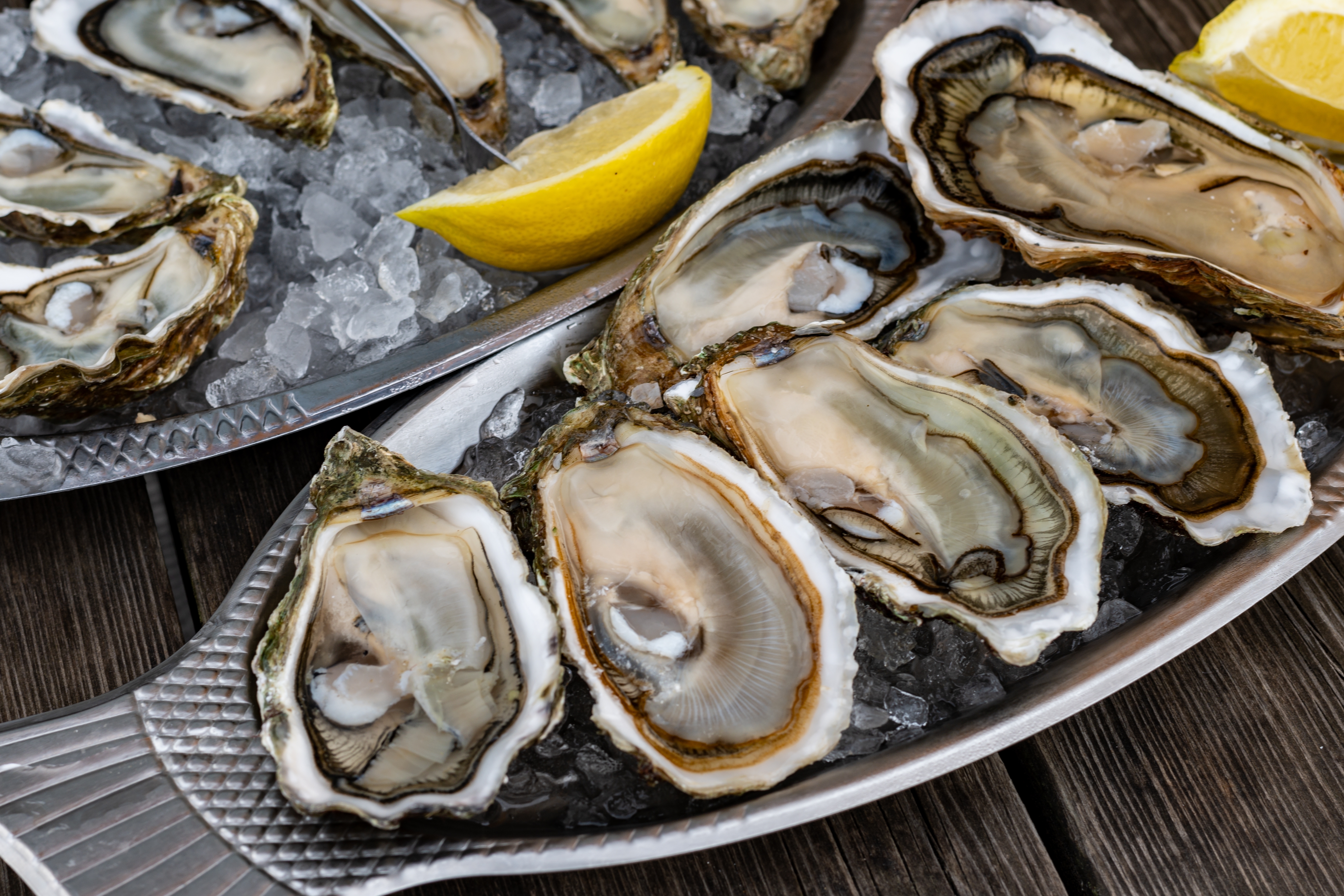 Friske rå østers serveret på is med citron på sølvfad ved restaurant i Arcachon-bugten, Frankrig