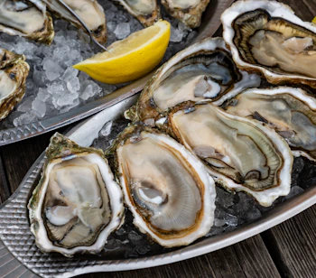 Friske rå østers serveret på is med citron på sølvfad ved restaurant i Arcachon-bugten, Frankrig