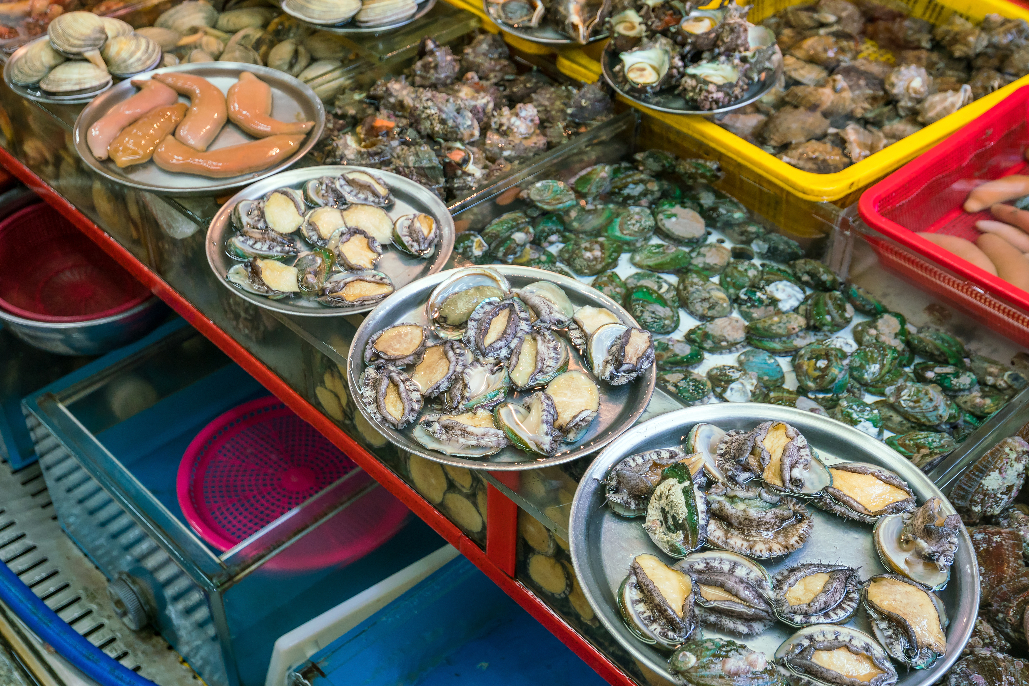 Friske muslinger og skaldyr på det farverige traditionelle fiskemarked i Busan, Sydkorea