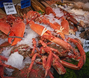Friske hummere og krabber på is hos en traditionel fiskehandler på et lokalt marked i Cornwall, England