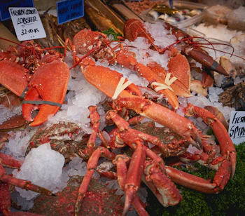 Friske hummere og krabber på is hos en traditionel fiskehandler på et lokalt marked i Cornwall, England