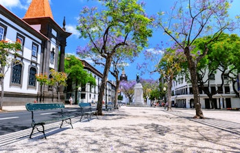 Historisk byplads i Funchal på Madeira med traditionel portugisisk arkitektur og blomstrende jacaranda træer
