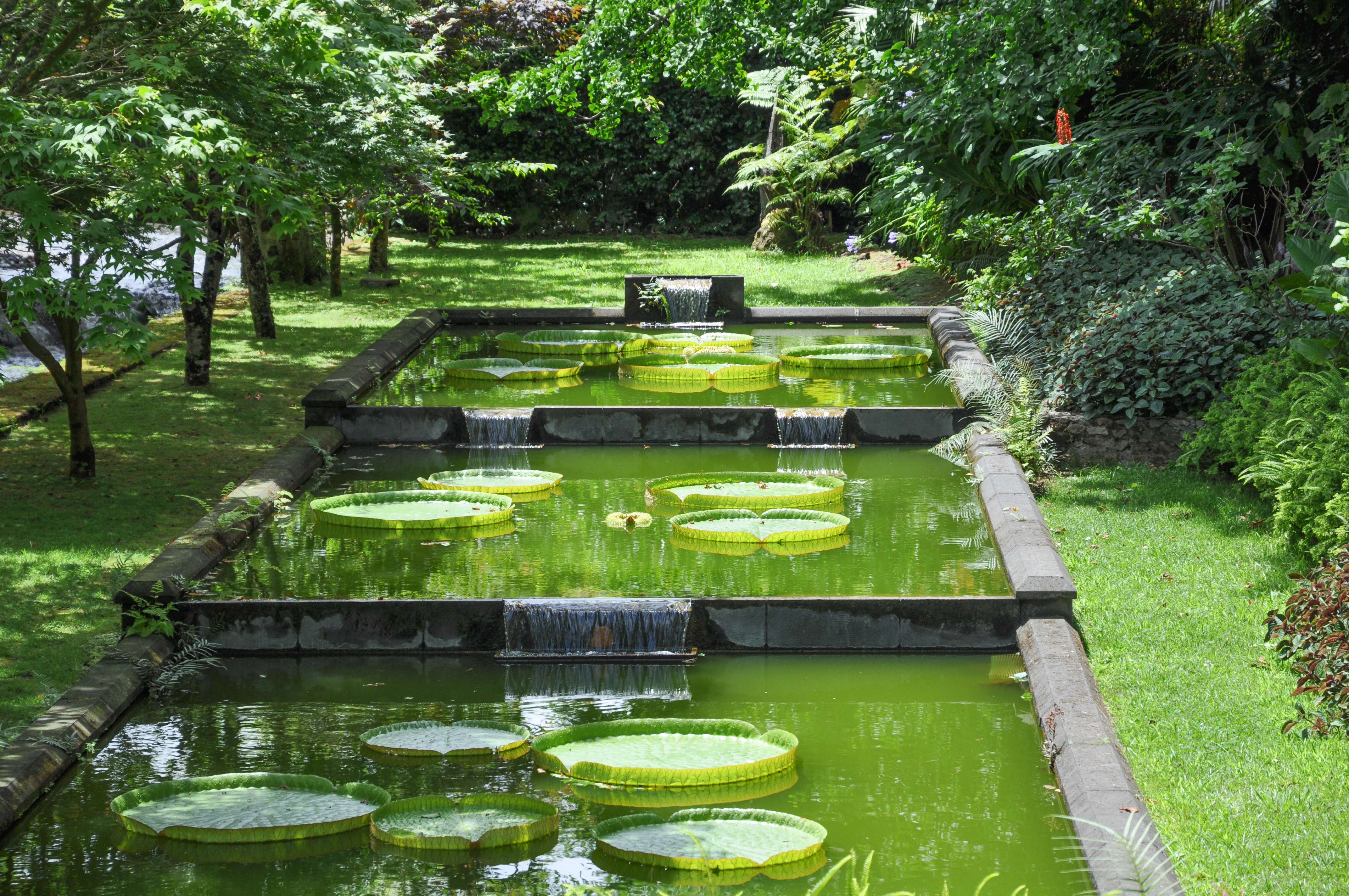 Smuk botanisk have med åkander og kaskader i Furnas på Azorerne