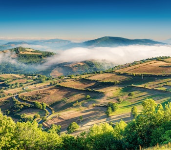 Stemningsfuldt tåget landskab i Galicien med grønne skove og bjerge indhyllet i morgendis, en karakteristisk naturoplevelse på den sidste del af Caminoen