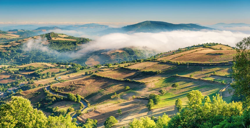Stemningsfuldt tåget landskab i Galicien med grønne skove og bjerge indhyllet i morgendis, en karakteristisk naturoplevelse på den sidste del af Caminoen