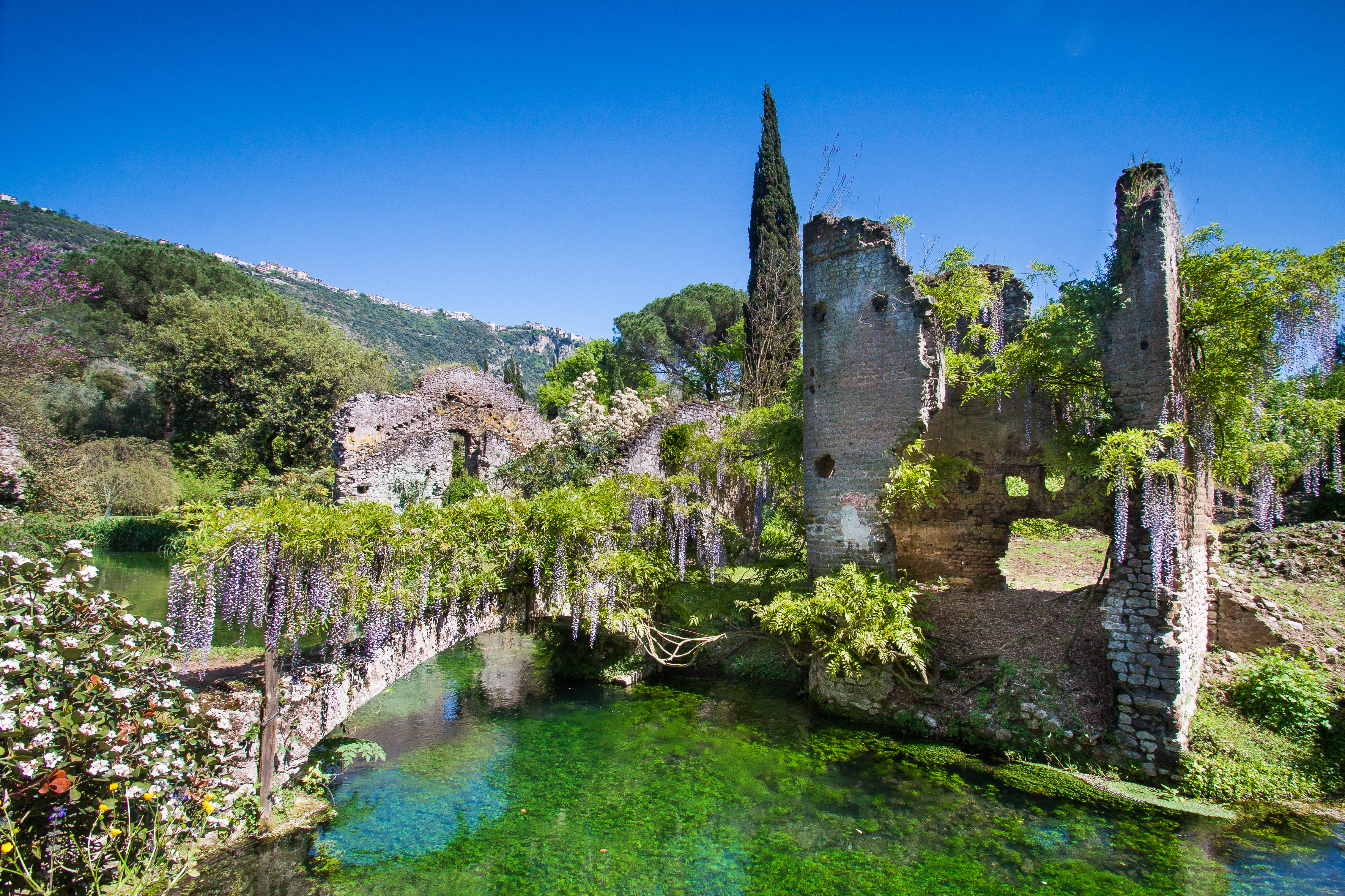 Smukke middelalderruiner dækket af blåregn og frodig vegetation spejlet i det klare turkisblå vand i Garden of Ninfa, Lazio, Italien