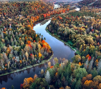 Luftfoto af Gauja Nationalpark med snoet flod gennem farverig efterårsskov i Letland