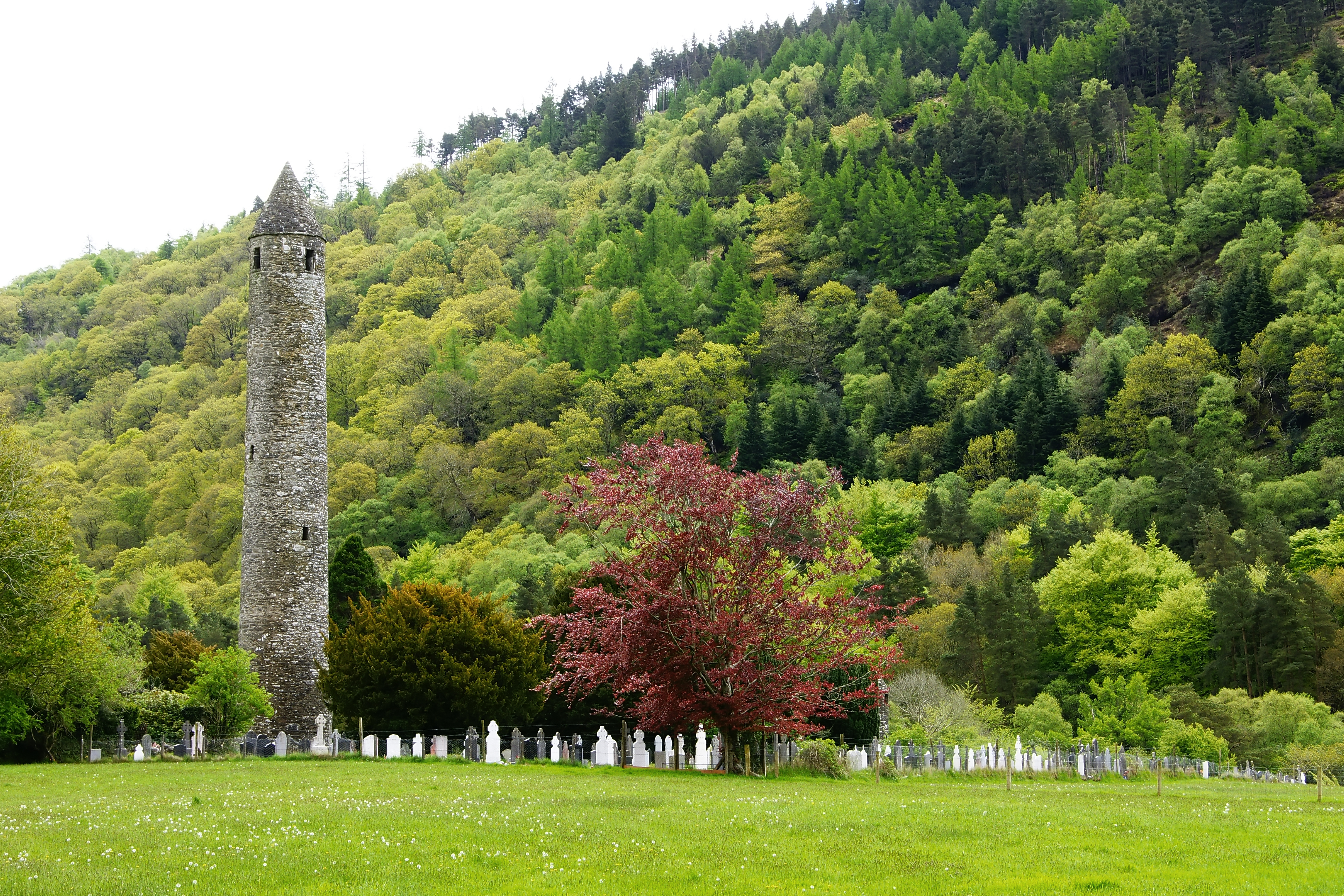 Historisk rundtårn fra det 6. århundrede i Glendalough klosterby omgivet af gravsten og frodig skov i County Wicklow, Irland