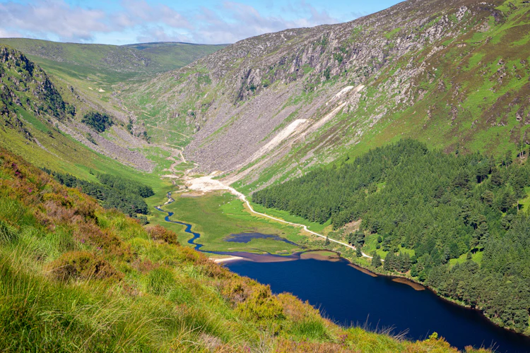 Panoramaudsigt over Upper Lake i Glendalough-dalen i Wicklow Mountains, Irland, med en snoet blå flod gennem grønne enge omgivet af nåleskove og klippeskråninger