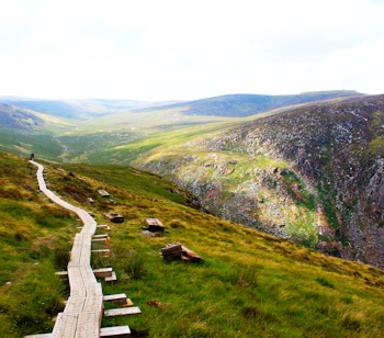 Træstikvandrerute langs klipperne over Glendalough-dalen i County Wicklow, Irland, på en solrig sommerdag