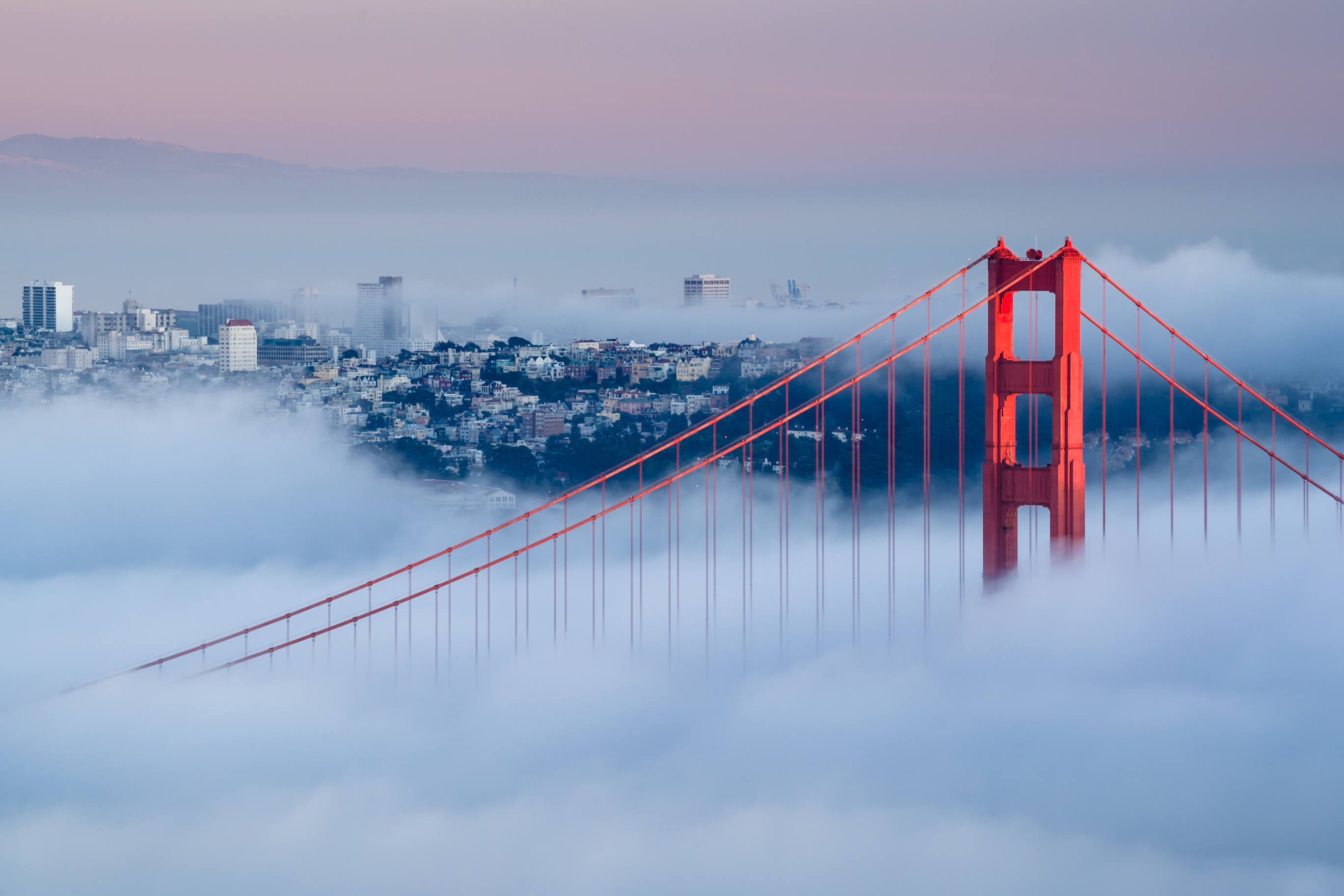 Golden Gate Bridge i morgentåge med San Francisco skyline i baggrunden