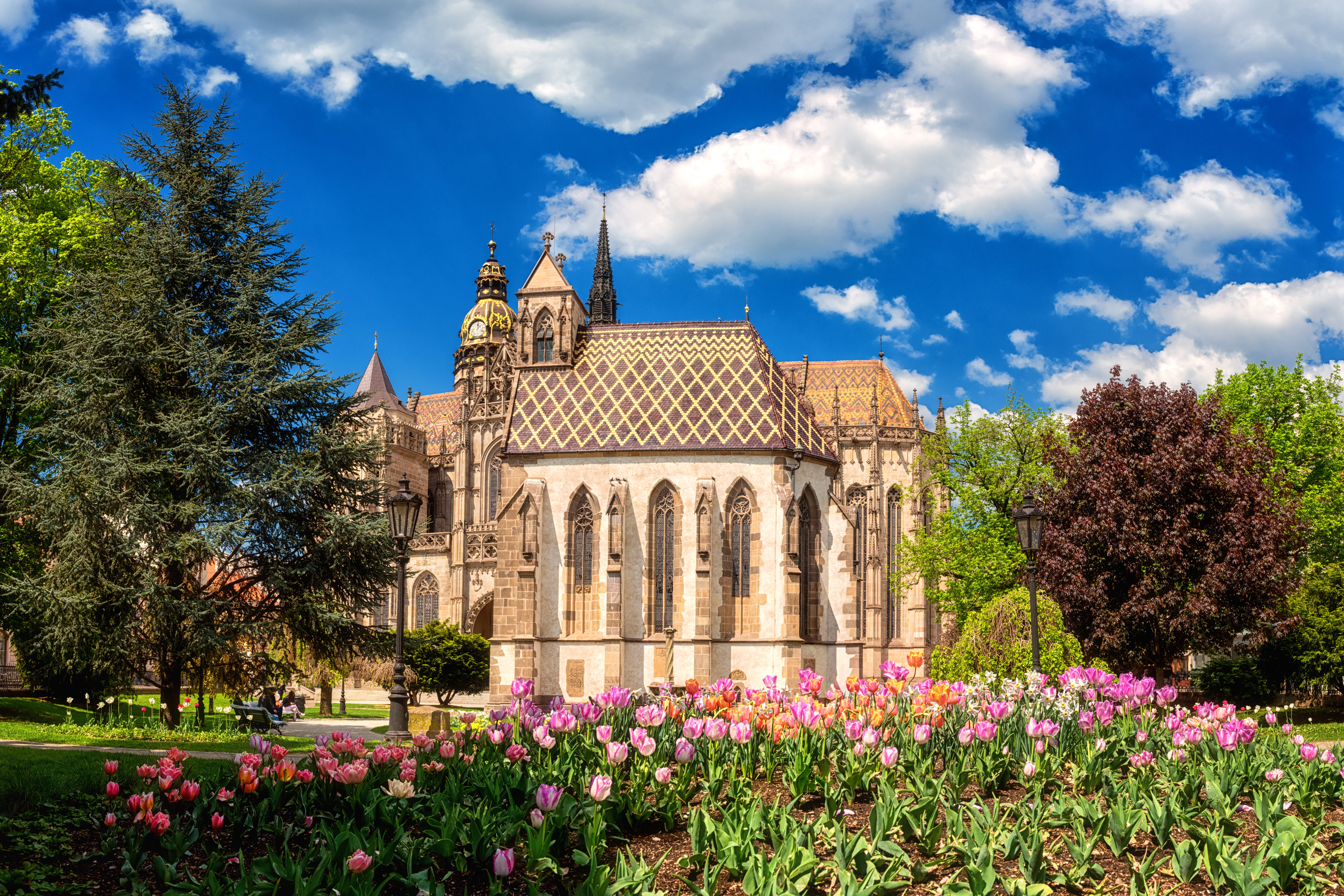 Smuk gotisk katedral omgivet af farverige tulipaner i blomstrende foraarhave