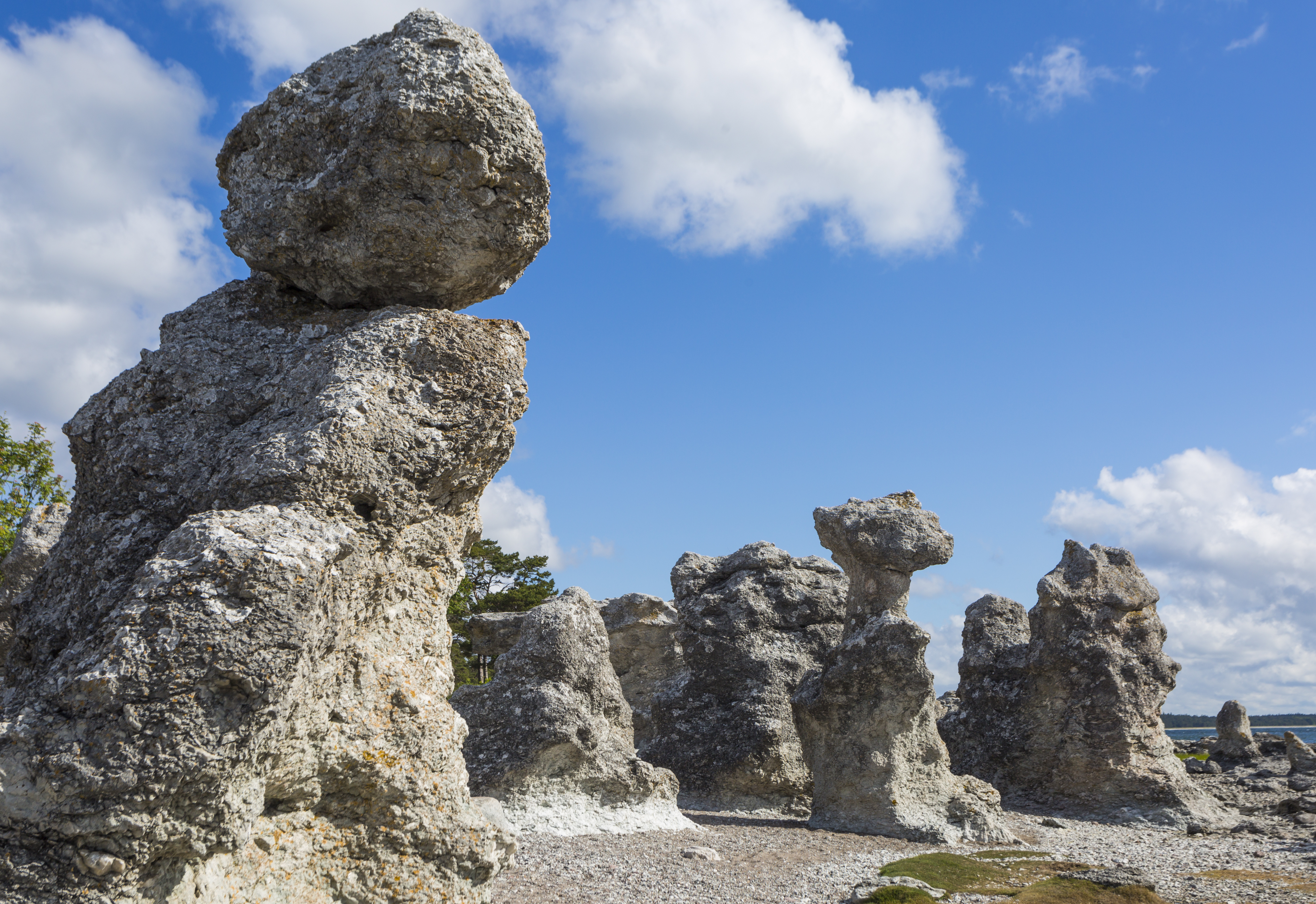 Fantastiske kalkstens-raukar ved Folhammar strand på Gotland i Sverige