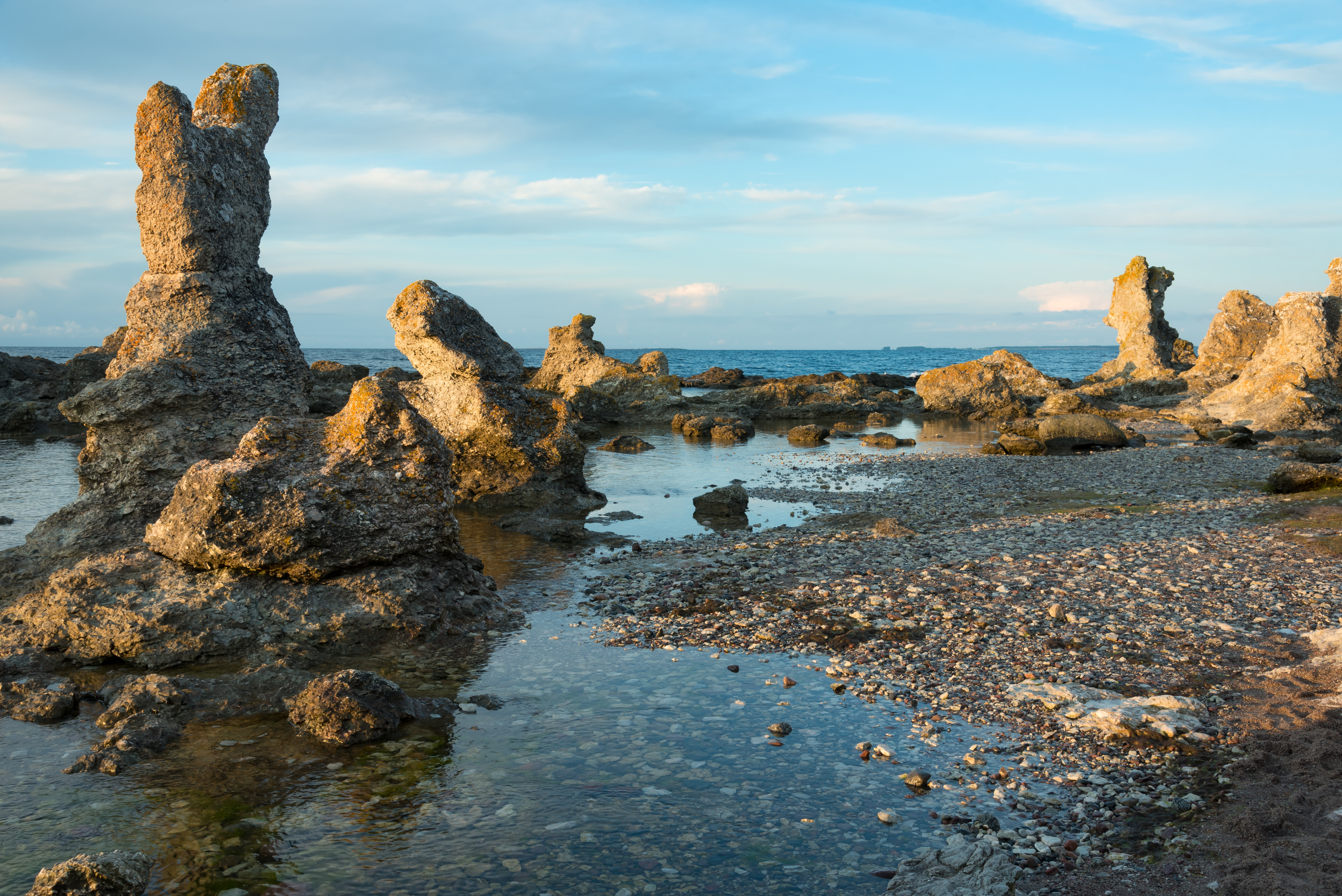 Kalksten raukar og kystlandskab på Gotland i Sverige