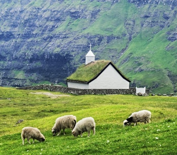 Idyllisk sommerlandskab med den traditionelle græstørvskirke Saksunar Kirkja omgivet af får og majestætiske bjerge i Saksun landsby på Streymoy, Færøerne