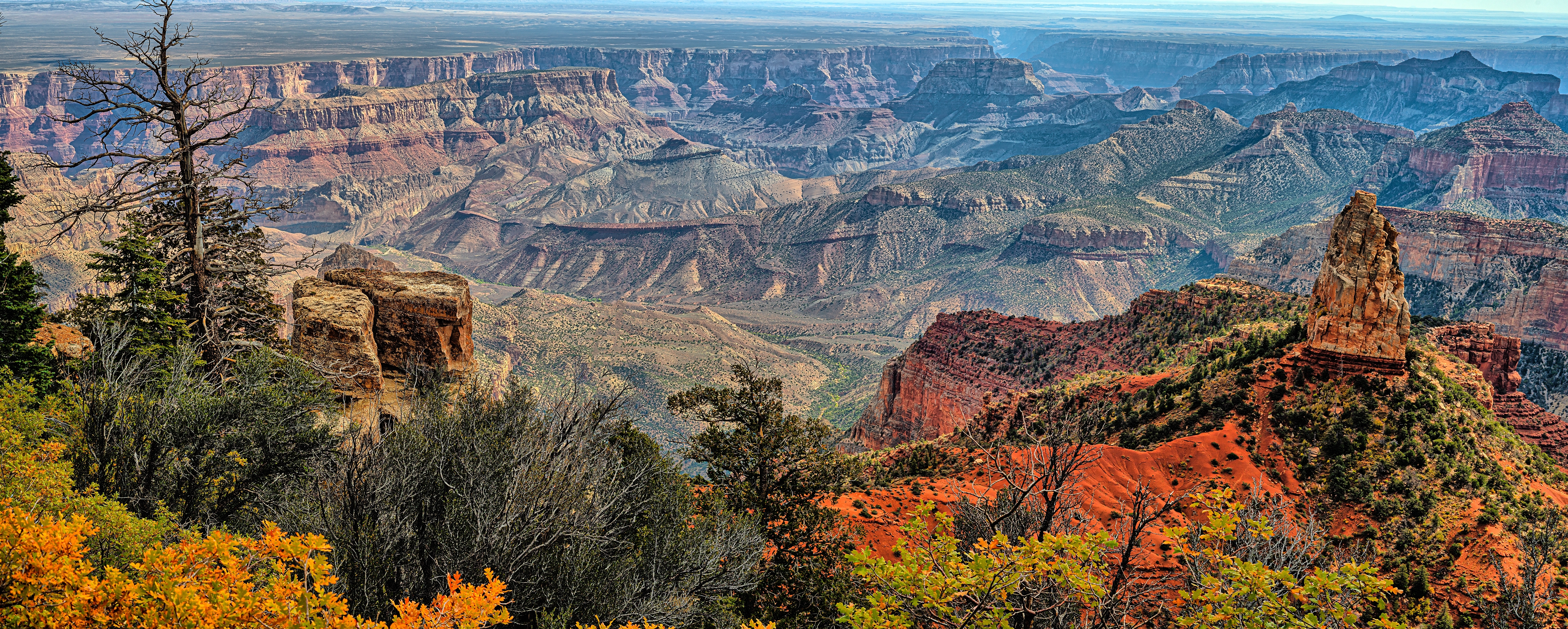 Fantastisk panoramaudsigt over Grand Canyon Nationalpark med røde klippeformationer og ørkenvegetation i Arizona
