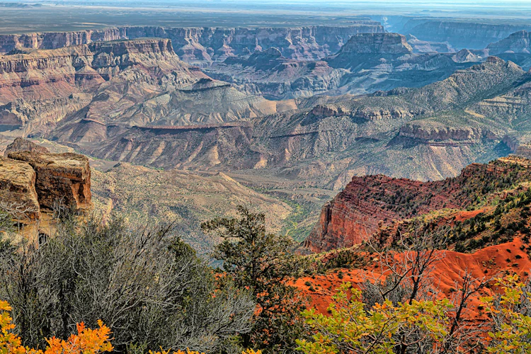 Fantastisk panoramaudsigt over Grand Canyon Nationalpark med røde klippeformationer og ørkenvegetation i Arizona
