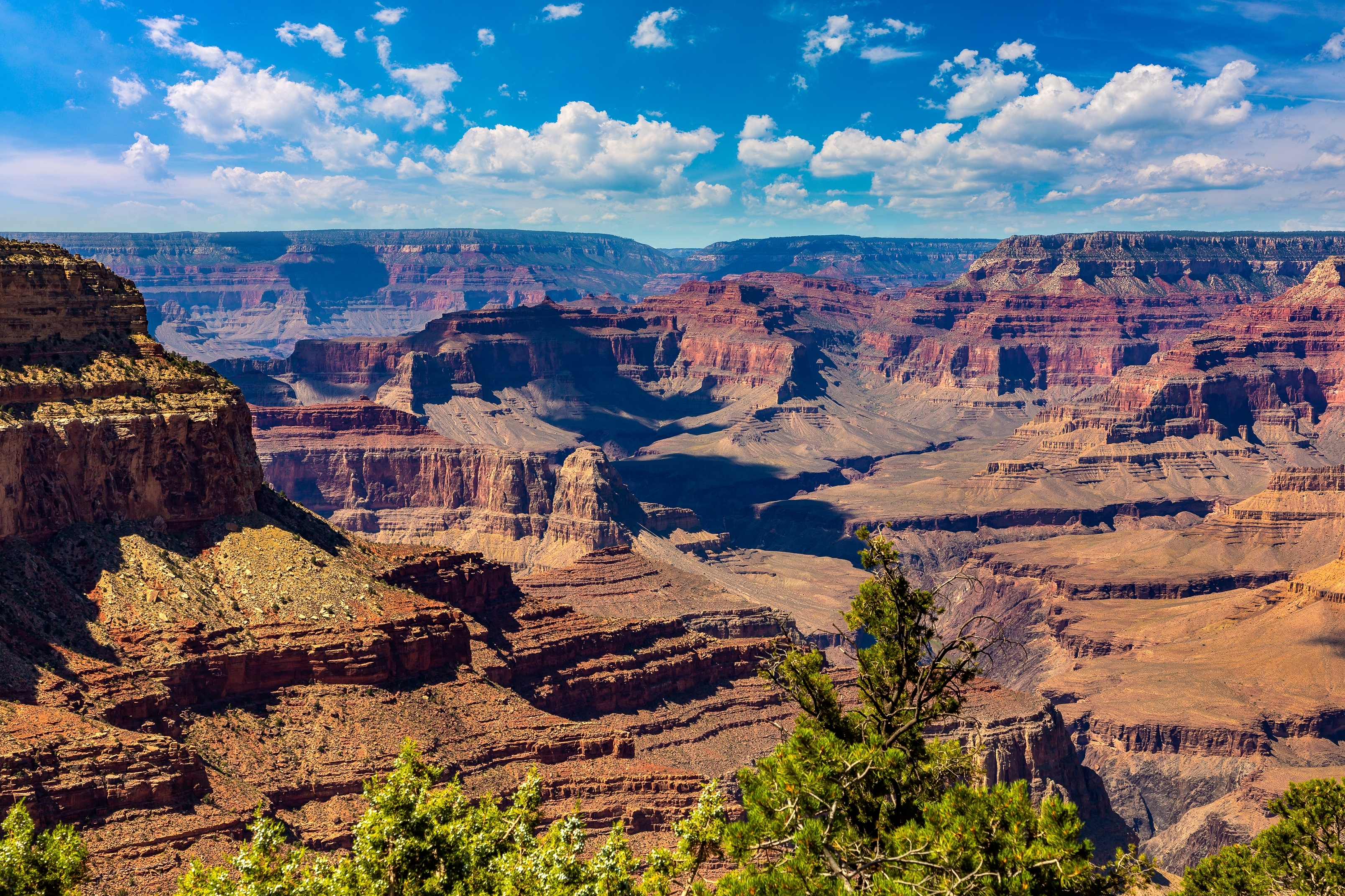 Spektakulært panoramaudsyn over Grand Canyon National Park i Arizona med røde klipper