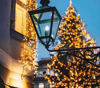 Smukt oplyst juletræ på det stemningsfulde julemarked i Graz, Østrig, med det historiske rådhus i baggrunden og markedsboder fyldt med julepynt - oplev ægte julestemning med Smil Rejsers julerejser