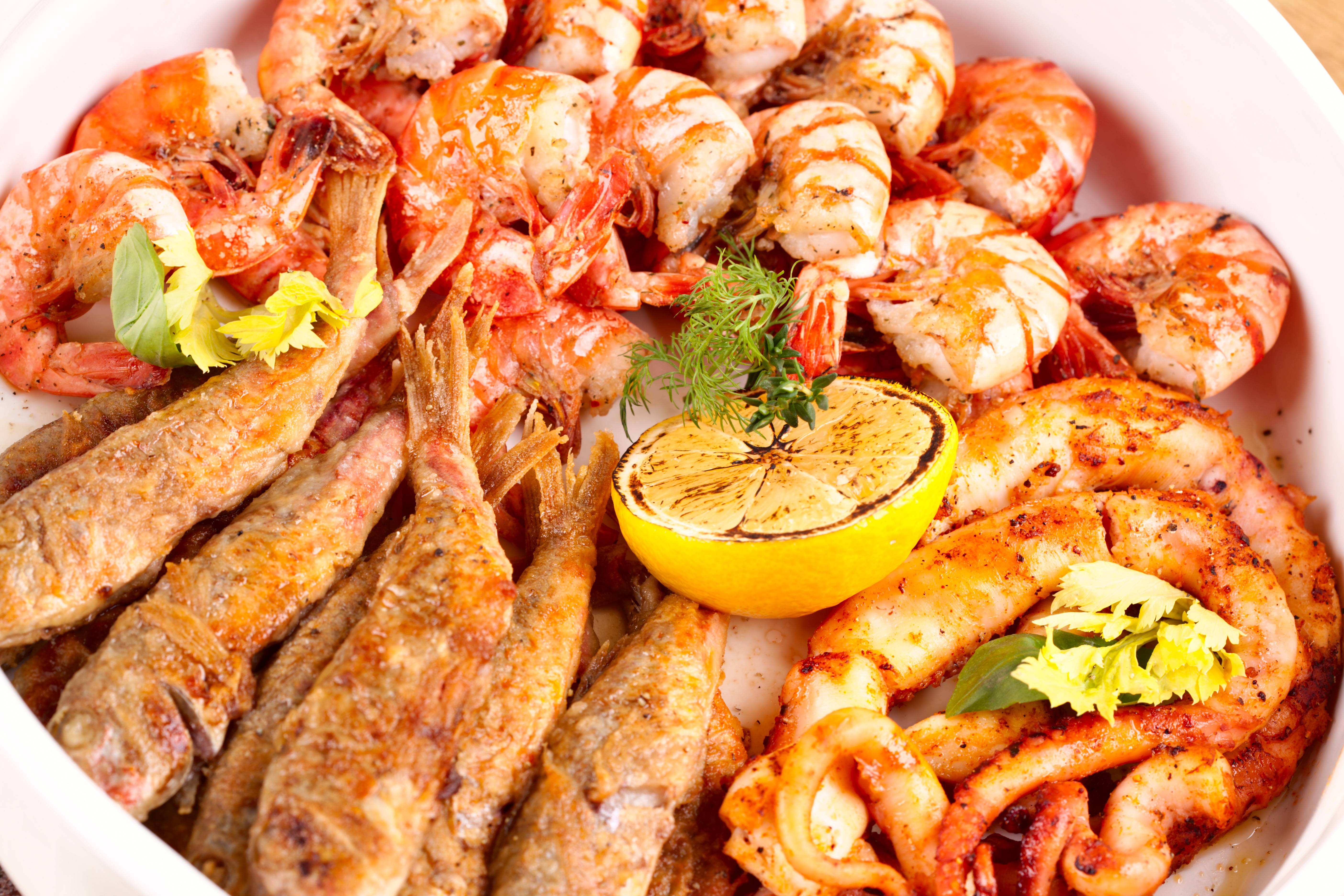 Grillet skaldyr tallerken med rejer og blæksprutte fra Spanien
