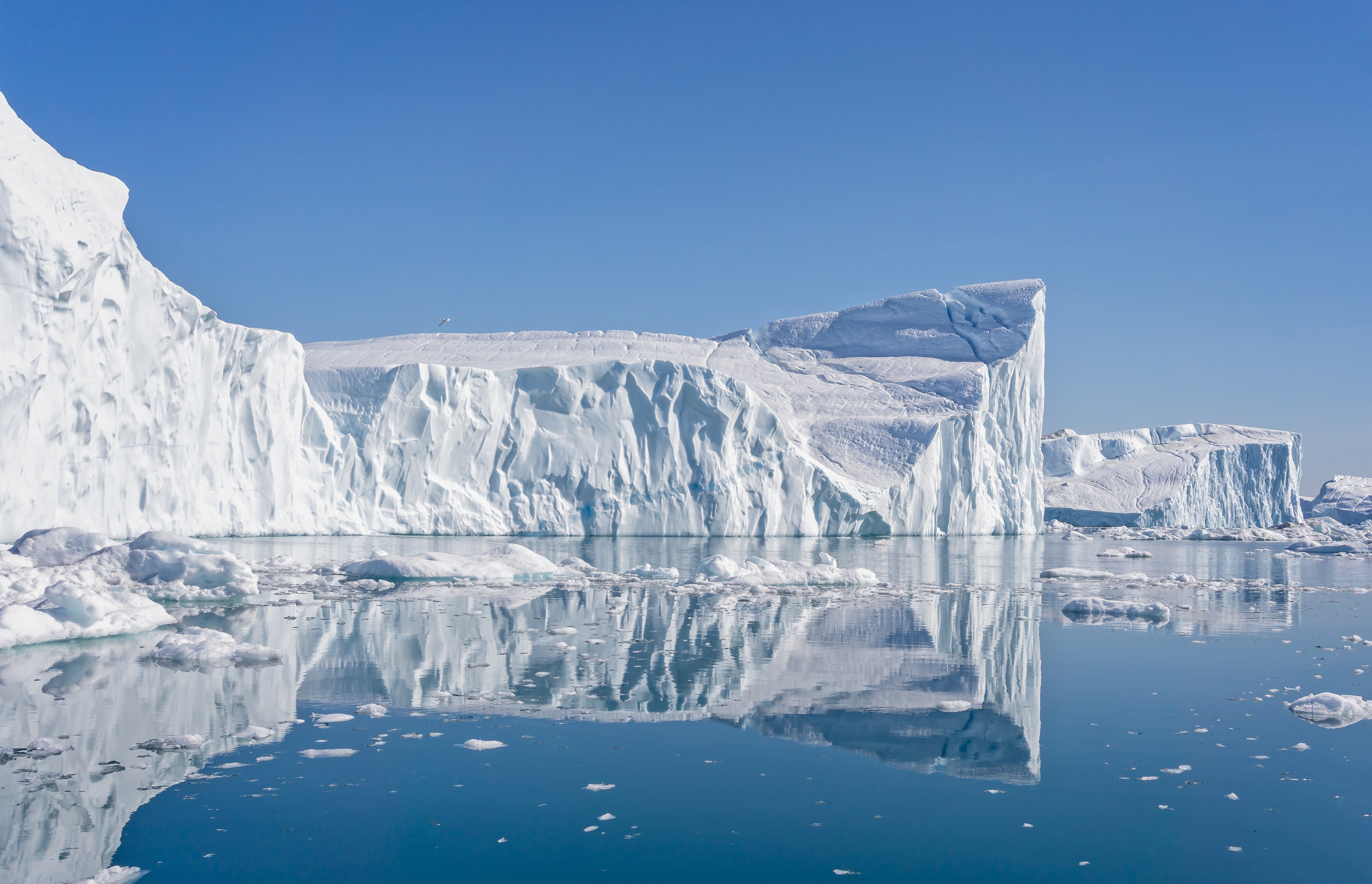 Store isbjerge med spejlblanke refleksioner i Grønlands smukke Disko Bay